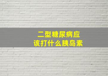 二型糖尿病应该打什么胰岛素