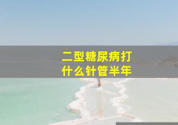 二型糖尿病打什么针管半年