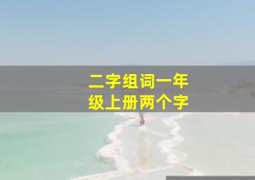 二字组词一年级上册两个字