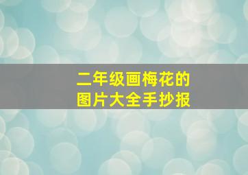 二年级画梅花的图片大全手抄报