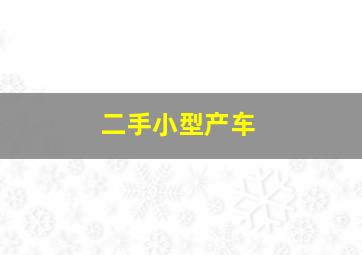 二手小型产车