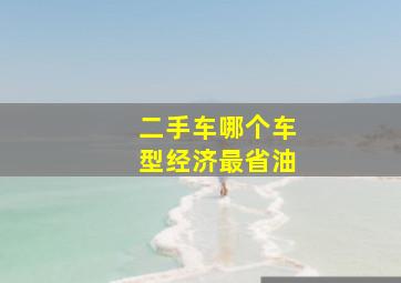 二手车哪个车型经济最省油