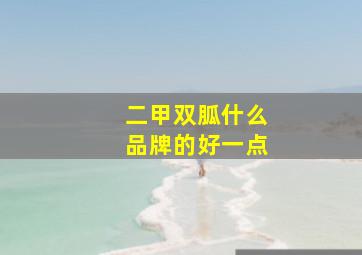 二甲双胍什么品牌的好一点