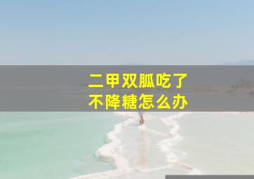 二甲双胍吃了不降糖怎么办