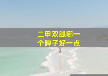 二甲双胍哪一个牌子好一点