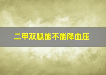 二甲双胍能不能降血压