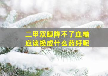 二甲双胍降不了血糖应该换成什么药好呢