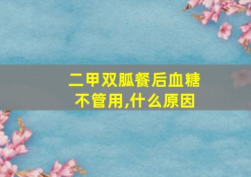 二甲双胍餐后血糖不管用,什么原因