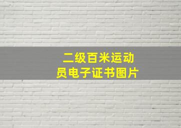 二级百米运动员电子证书图片