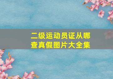 二级运动员证从哪查真假图片大全集