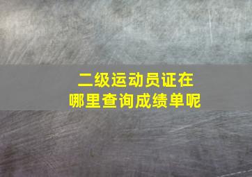 二级运动员证在哪里查询成绩单呢