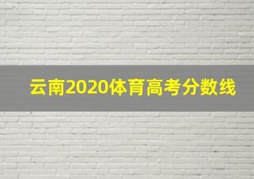 云南2020体育高考分数线