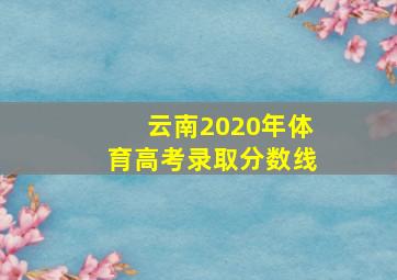 云南2020年体育高考录取分数线