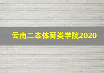 云南二本体育类学院2020