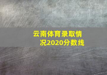 云南体育录取情况2020分数线