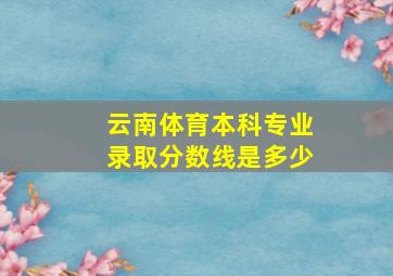 云南体育本科专业录取分数线是多少