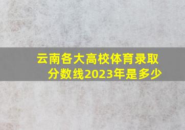 云南各大高校体育录取分数线2023年是多少