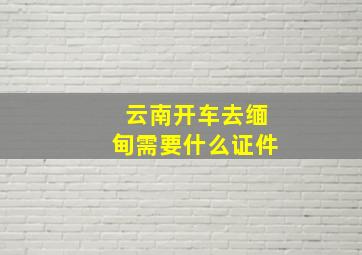 云南开车去缅甸需要什么证件