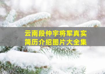 云南段仲宇将军真实简历介绍图片大全集