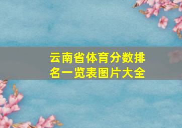 云南省体育分数排名一览表图片大全