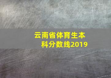 云南省体育生本科分数线2019