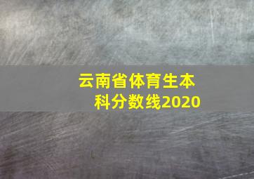 云南省体育生本科分数线2020