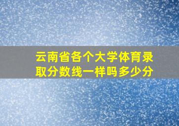 云南省各个大学体育录取分数线一样吗多少分