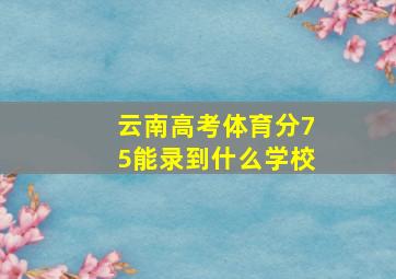 云南高考体育分75能录到什么学校