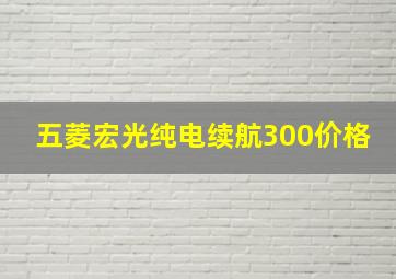 五菱宏光纯电续航300价格