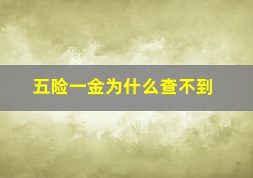 五险一金为什么查不到