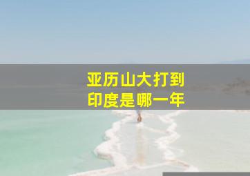 亚历山大打到印度是哪一年