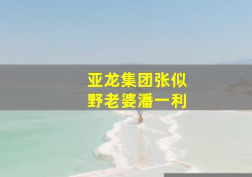 亚龙集团张似野老婆潘一利