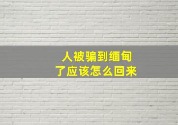 人被骗到缅甸了应该怎么回来