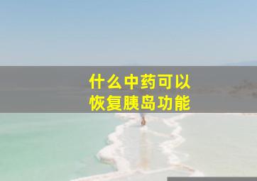 什么中药可以恢复胰岛功能