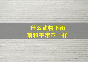 什么动物下雨前和平常不一样