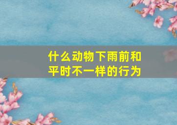 什么动物下雨前和平时不一样的行为