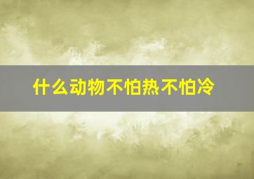 什么动物不怕热不怕冷