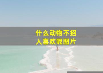 什么动物不招人喜欢呢图片