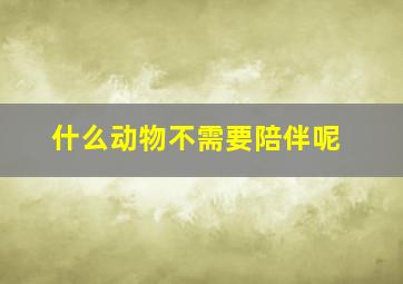 什么动物不需要陪伴呢