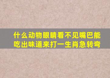 什么动物眼睛看不见嘴巴能吃出味道来打一生肖急转弯