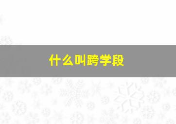 什么叫跨学段