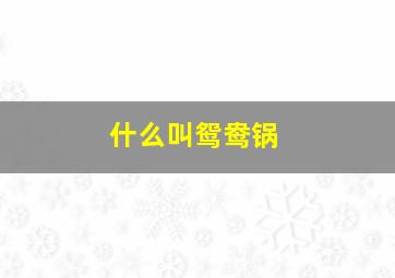 什么叫鸳鸯锅