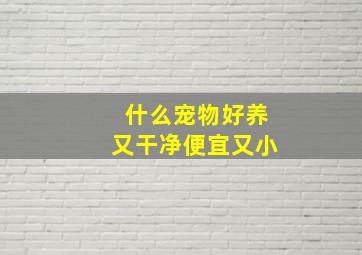 什么宠物好养又干净便宜又小