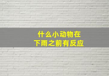 什么小动物在下雨之前有反应