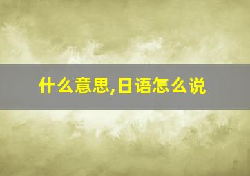 什么意思,日语怎么说