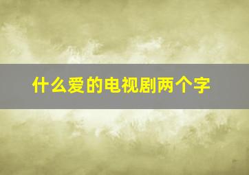 什么爱的电视剧两个字