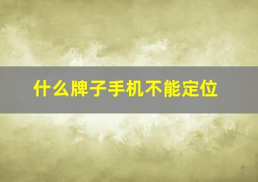 什么牌子手机不能定位