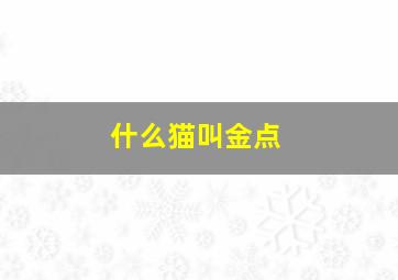 什么猫叫金点