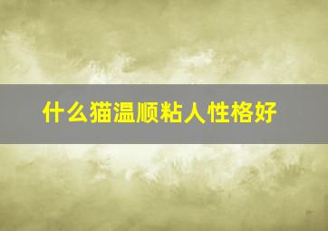 什么猫温顺粘人性格好