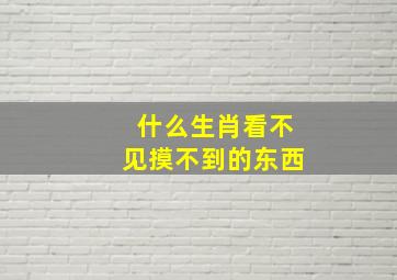 什么生肖看不见摸不到的东西